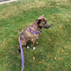 Meet your Posher, William